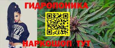 соль ск Сланцы