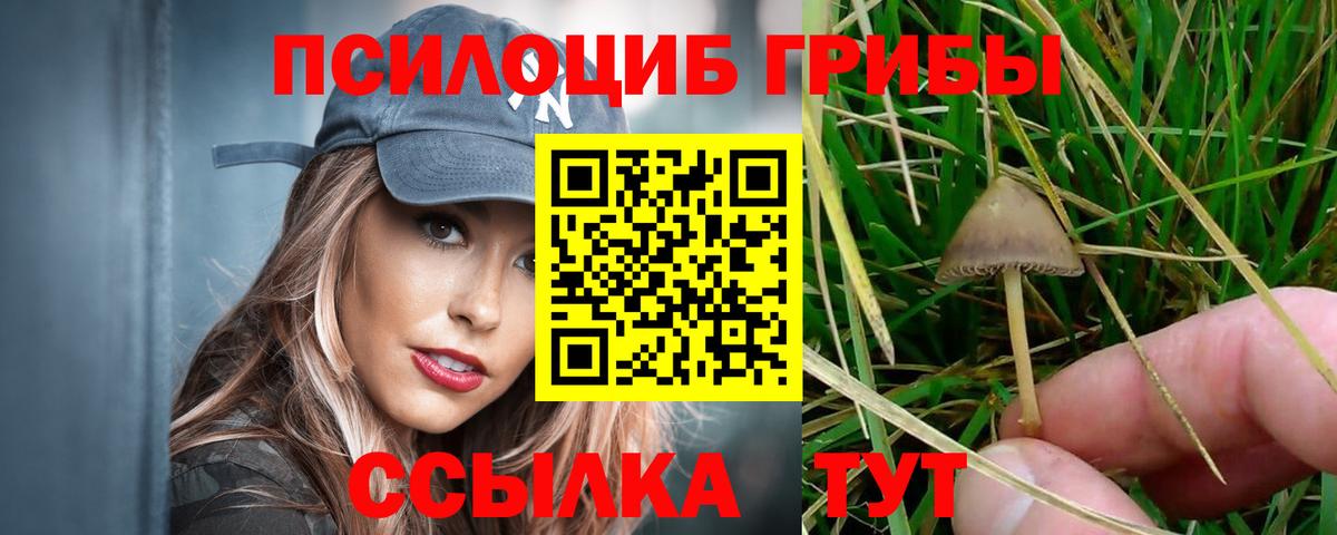 Псилоцибиновые грибы MAGIC MUSHROOMS  Псилоцибиновые грибы GOLDEN TEACHER  Вход с VPN  Нальчик 